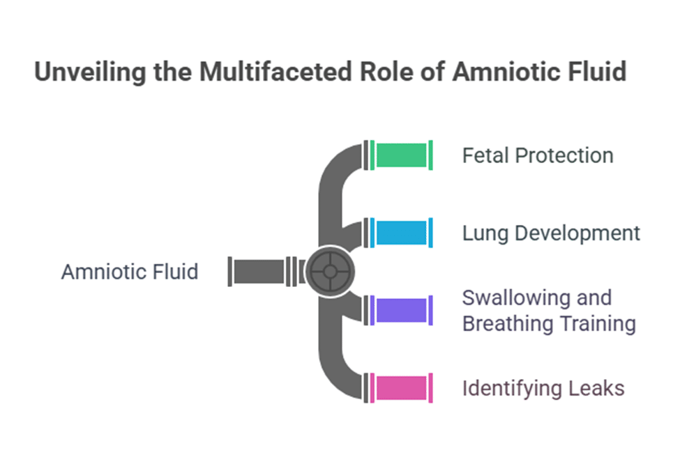 Graph of leaking amniotic fluid