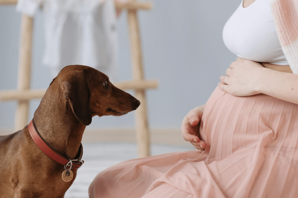 13 Weeks Pregnant in Months
