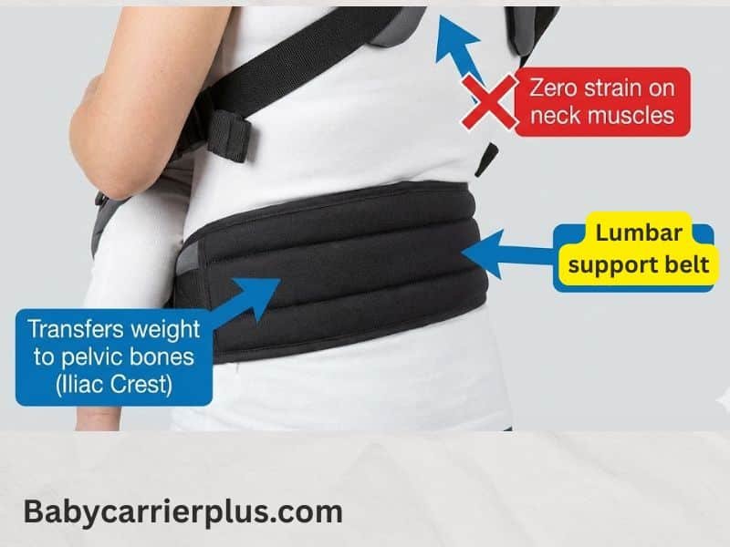 A thick padded lumbar belt on an ergonomic baby carrier protecting the mother's spine and C-section incision.